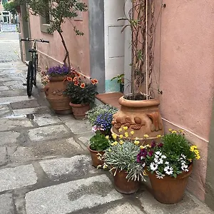 Chic , Marciana Marina (Isola d'Elba) Italia
